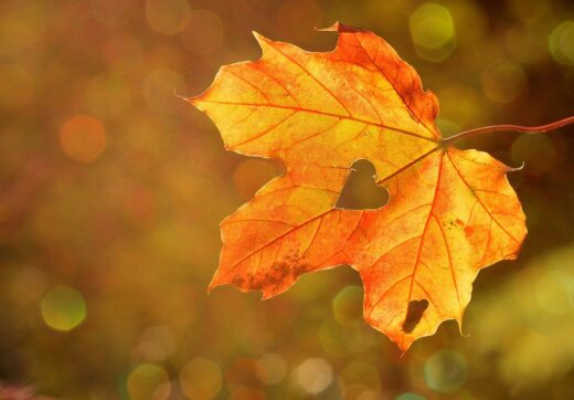 L&amp;&#x23;8217&#x3B;Automne&#x20;et&#x20;le&#x20;Yoga