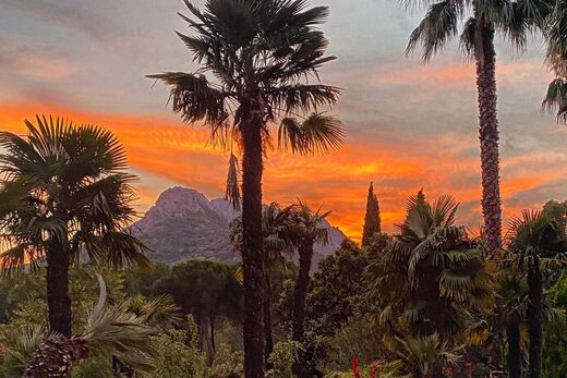 Retraite Yoga et Pilates dans le Var : Bien-être et Sérénité au Cœur de la Nature