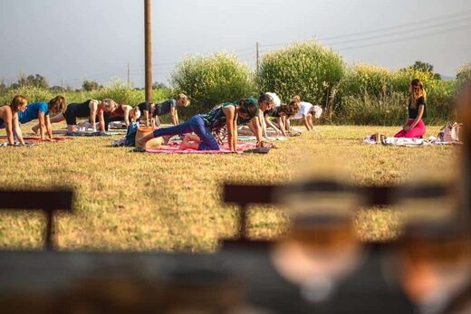 Yoga &amp; Dégustation de Vin à Puget-sur-Argens : Une Expérience Bien-Être Unique en Provence au Château de Cabran