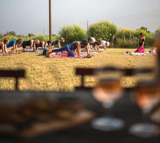 Yoga&#x20;&amp;amp&#x3B;&#x20;D&#x00E9;gustation&#x20;de&#x20;Vin&#x20;&#x00E0;&#x20;Puget-sur-Argens&#x20;&#x3A;&#x20;Une&#x20;Exp&#x00E9;rience&#x20;Bien-&#x00CA;tre&#x20;Unique&#x20;en&#x20;Provence&#x20;au&#x20;Ch&#x00E2;teau&#x20;de&#x20;Cabran