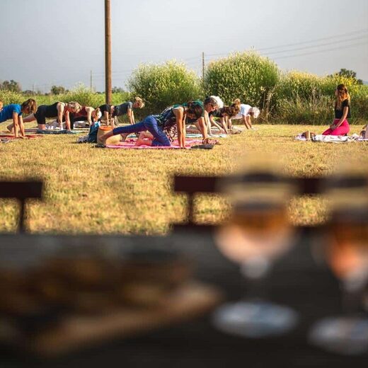 Yoga &amp; Dégustation de Vin à Puget-sur-Argens : Une Expérience Bien-Être Unique en Provence au Château de Cabran